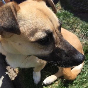 Meet your Posher, Andrea